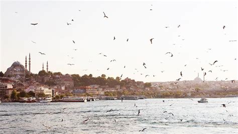  Angelee'ın İstanbul Konseri: Duyusal Bir Yolculuk ve Kültürel Köprü